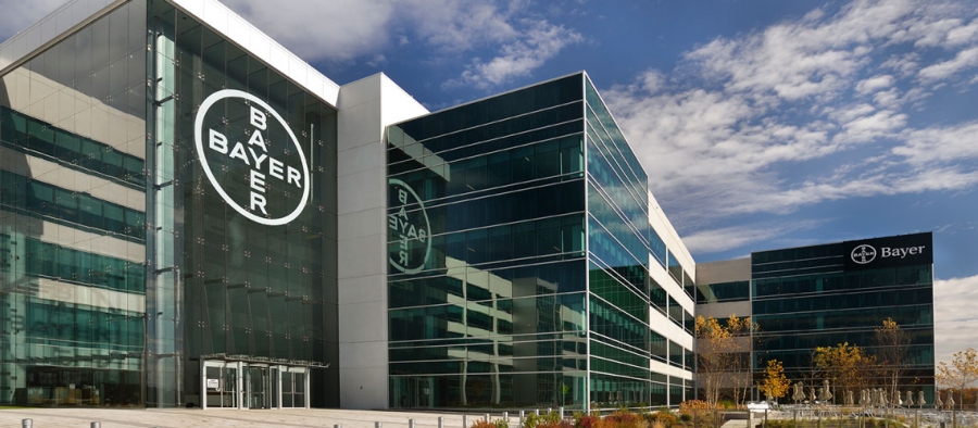 Bayer Ελλάς: Πρόγραμμα Level - up για νεοφυείς επιχειρήσεις