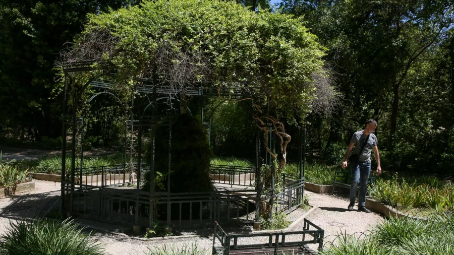 Κλειστός ο Εθνικός Κήπος λόγω ισχυρών ανέμων