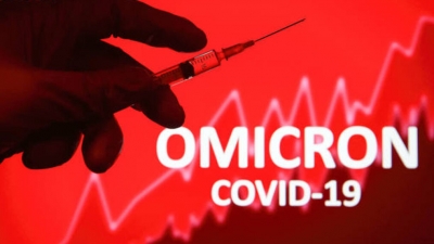 Ρωσία - Η μετάλλαξη Omicron του κορωνοϊού μολύνει ποντίκια και αρουραίους