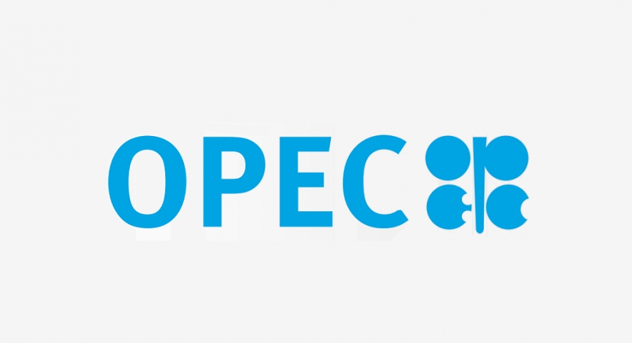 Αγωγή κατά του OPEC κατέθεσε... Γερμανός οικονομολόγος - Ζητά αποζημίωση 50 δολαρίων