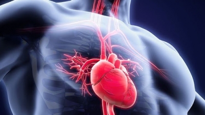 Εξελίξεις στην Καρδιολογία
