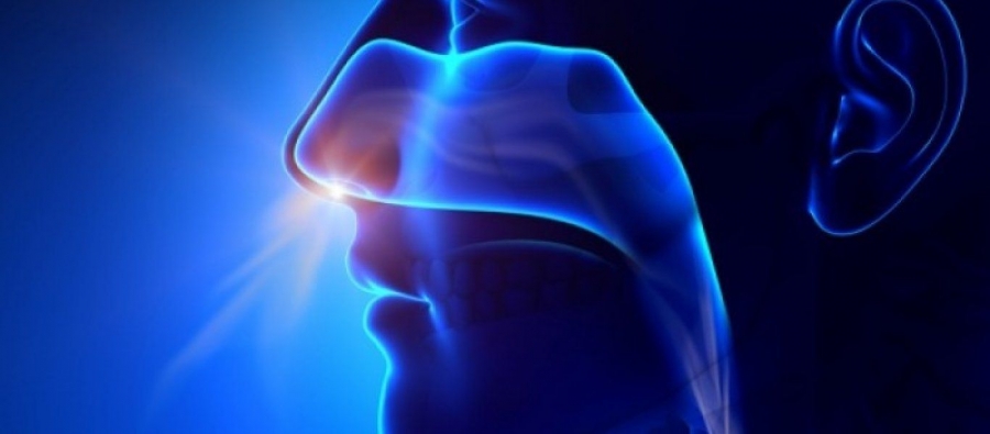 Συναγερμός στην Αφρική: Μυστηριώδης ιός προκαλεί ρινορραγία και σκοτώνει μέσα σε 24 ώρες - Δεν είναι Έμπολα