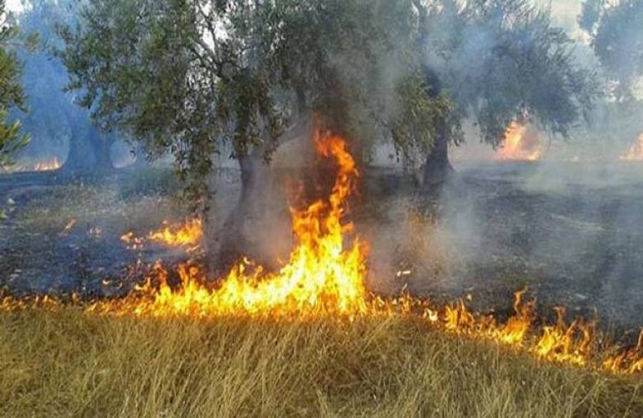 Πυρκαγιές: Πολύ υψηλός κίνδυνος για τρεις περιφέρειες της χώρας τη Δευτέρα 1 Αυγούστου 2022