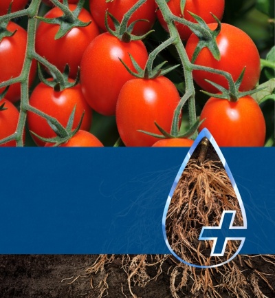 H Bayer υποστηρίζει τους παραγωγούς με μία ευρεία γκάμα ολοκληρωμένων αγρονομικών λύσεων