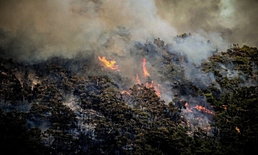 Δελής (ΚΚΕ): Εγκληματικές οι ευθύνες της κυβέρνησης – Κάηκε το αφήγημα της για την προστασία της ανθρώπινης ζωής