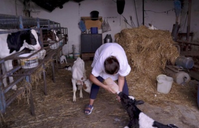 «Eίσοδος» στον κόσμο των Startups στην πρεμιέρα της σειράς ντοκιμαντέρ «Start-up Ελλάδα», στο Cosmote History HD