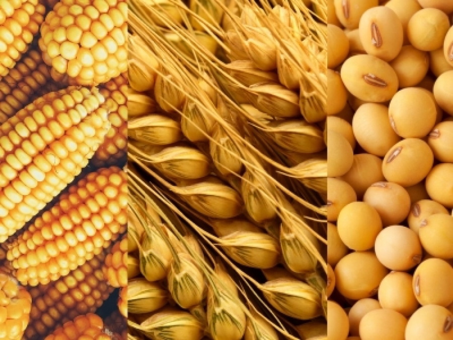 Η Κίνα αναστέλλει τις εξαγωγές καλαμποκάλευρου - Στόχος να περιορίσει την άνοδο των εγχώριων τιμών