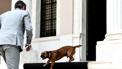 Αναστάτωση στο Μαξίμου: Ο Πίνατ δάγκωσε τον Άκη Σκέρτσο