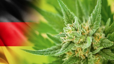 Σοκ στη Γερμανία - Αύξηση των ψυχιατρικών περιστατικών μετά τη νομιμοποίηση της κάνναβης