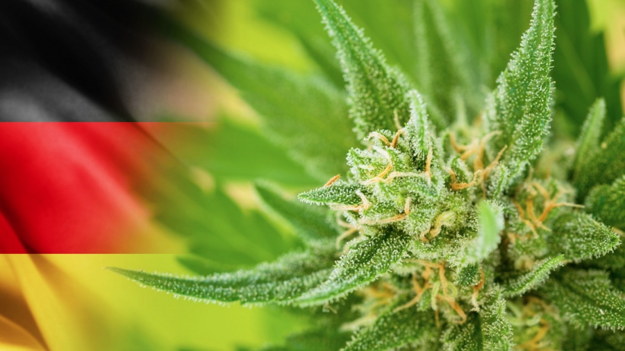 Σοκ στη Γερμανία - Αύξηση των ψυχιατρικών περιστατικών μετά τη νομιμοποίηση της κάνναβης