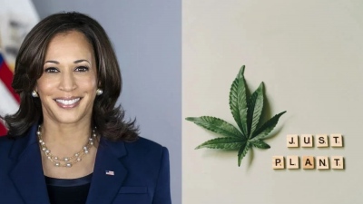 Kamala Harris (αντιπρόεδρος ΗΠΑ): Κανείς δεν πρέπει να φυλακίζεται επειδή κάπνισε μαριχουάνα