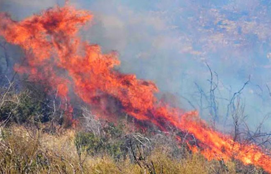 Πύρινα μέτωπα σε Εύβοια και Αργολίδα – Εκκενώθηκε χωριό