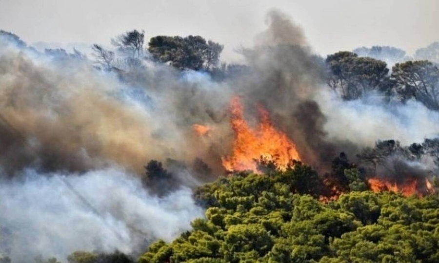 Σε εξέλιξη πυρκαγιά και στα Χανιά – Οι φλόγες καίνε δασική έκταση
