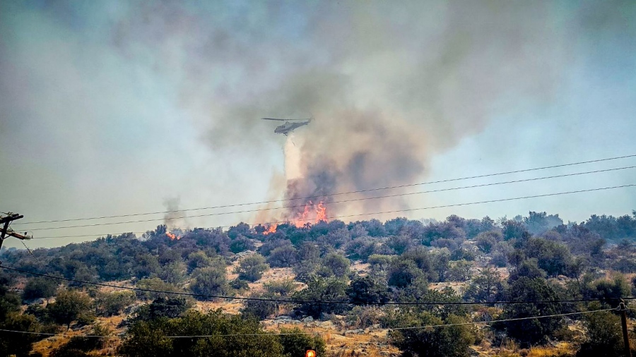 Βοιωτία: Χωρίς ενεργό μέτωπο η πυρκαγιά στην Αγία Τριάδα