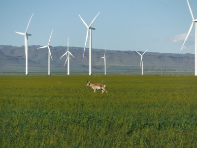 Η Κομισιόν καλεί την Ελλάδα να συμμορφωθεί με το ευρωπαϊκό δίκαιο για τον σχεδιασμό αιολικών πάρκων