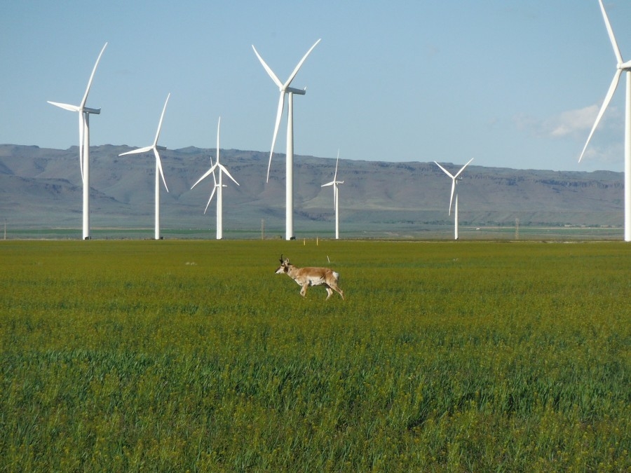 Η Κομισιόν καλεί την Ελλάδα να συμμορφωθεί με το ευρωπαϊκό δίκαιο για τον σχεδιασμό αιολικών πάρκων
