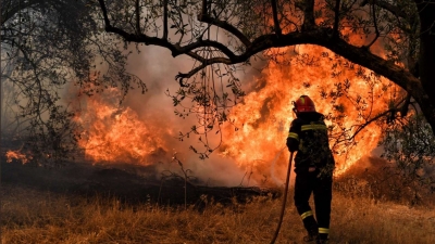 Πυρκαγιά στην Πεντέλη: 485 πυροσβέστες στην κατάσβεση
