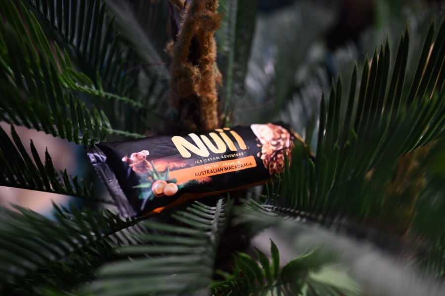 Nuii: Η επόμενή σου περιπέτεια!