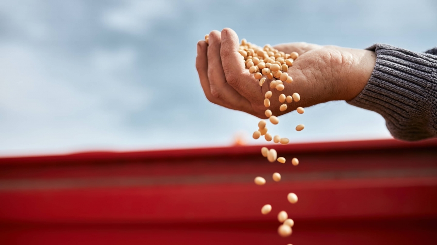 Great Reset: Σε εξέλιξη το σχέδιο για παγκόσμιο λιμό – Επίθεση στην ιδιοκτησία της μεσαίας τάξης και μετασχηματισμός της κοινωνίας