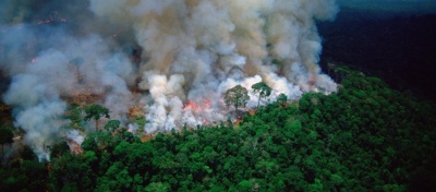 Βραζιλία: Η αποψίλωση της Αμαζονίας σχεδόν διπλασιάστηκε σε έναν χρόνο