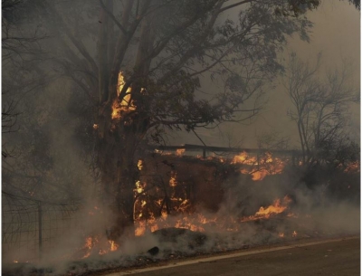 Πυρκαγιά στην Αχαΐα: Στους 16 οι τραυματίες στην Αιγιάλεια, κάηκαν σπίτια - Χρυσοχοΐδης: Πολύ βελτιωμένη η εικόνα σήμερα