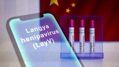 Νέος συναγερμός στον ΠΟΥ - Αναφορές για τον ιό LayV σε ανθρώπους στην Κίνα