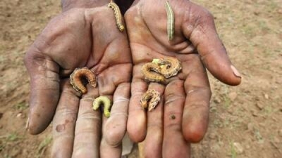 ΟΗΕ: 345 εκατ. άνθρωποι αντιμετωπίζουν διατροφικό κίνδυνο στον πλανήτη