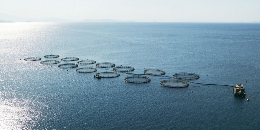 Πέφτουν οι υπογραφές για Νηρέα και Σελόντα - Μέχρι το τέλος της άλλης εβδομάδας η συμφωνία με Amerra