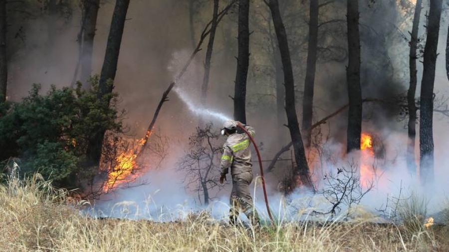 Μεγάλη φωτιά σε δασική έκταση στην Ηλεία – Ισχυρές δυνάμεις της πυροσβεστικής στο σημείο