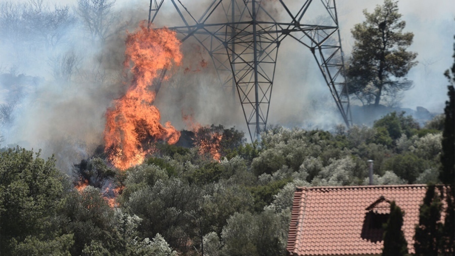 ΥΠΕΣ: Μην εγκαταλείπετε αβοήθητα τα ζώα σας