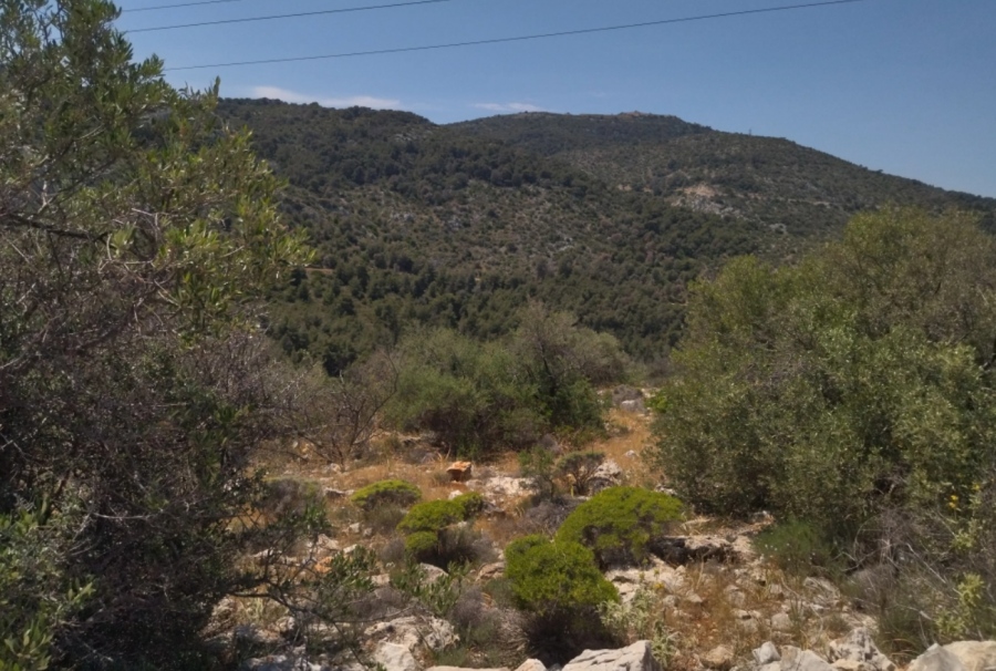 Στα καλά νέα: Απαλλάσσοντας το όρος Αιγάλεω από τις αυτοσχέδιες «χωματερές»