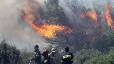Πυρκαγιά στην Κεφαλονιά