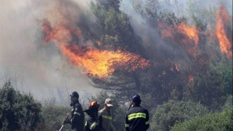 Πυρκαγιά στην Κεφαλονιά
