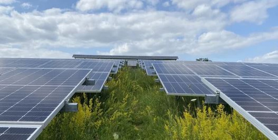 Με την Palatia Solar μπαίνουν στην ελληνική αγορά η Pfalzsolar και η KGAL