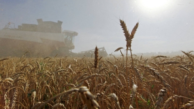 Δραματική προειδοποίηση από ΠΟΕ: Κίνδυνος για επισιτιστική κρίση - Υποβάθμιση προβλέψεων για παγκόσμιο εμπόριο