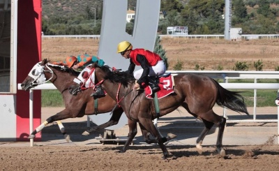 Markopoulo Park: Επτά κούρσες με 48 ίππους που υπόσχονται δυνατές συγκινήσεις