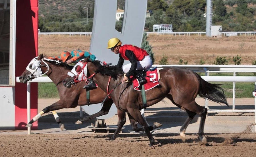 Markopoulo Park: Επτά κούρσες με 48 ίππους που υπόσχονται δυνατές συγκινήσεις