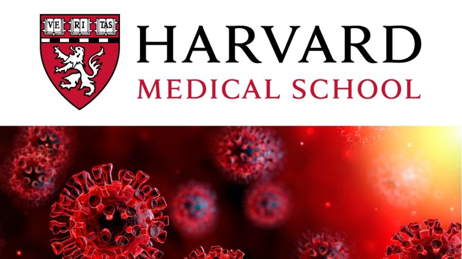 Έρευνα Harvard: Το 52% όσων ανάρρωσαν από κορωνοϊό, παρουσίασαν μείζονα (σοβαρή) κατάθλιψη