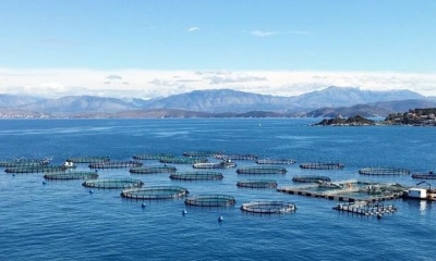 Η Amerra επικράτησε στον διαγωνισμό για Σελόντα – Νηρέα