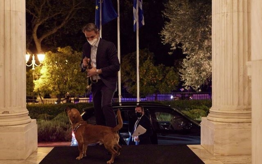 Ο πρωθυπουργός υιοθέτησε αδέσποτο σκύλο - Ποιος είναι ο νέος ένοικος του Μαξίμου