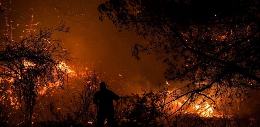 Τραγωδία στην Εύβοια - Στάχτη 350.000 στρέμματα - Πάνω από 64 ενεργές πυρκαγιές στην Ελλάδα
