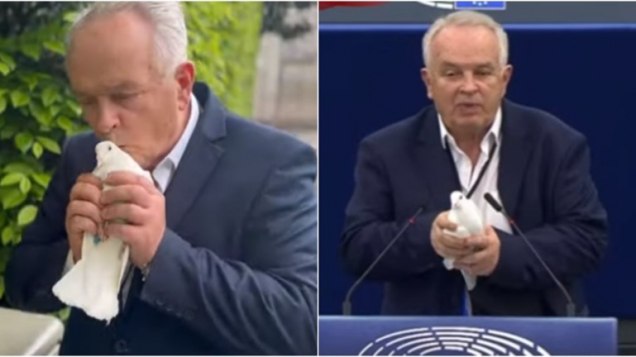 Σλοβάκος ευρωβουλευτής άφησε ελεύθερο ένα λευκό περιστέρι στην αίθουσα του Ευρωκοινοβουλίου
