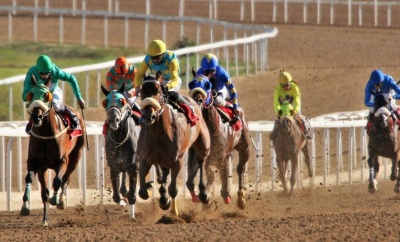 Markopoulo Park: Ρεκόρ συμμετοχών με 73 ίππους
