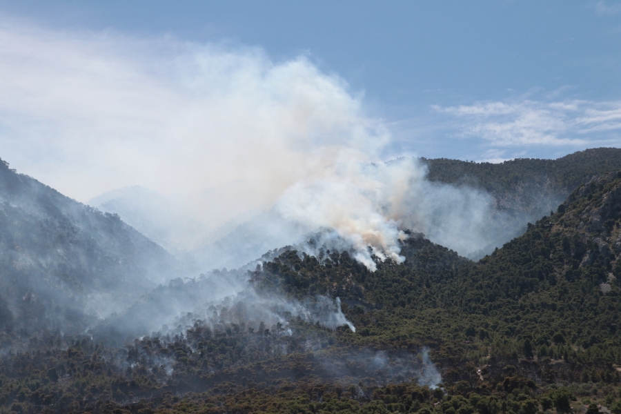 Ανεξέλεγκτη φωτιά στην Κορινθία - Αποπνικτική η ατμόσφαιρα στην Αθήνα - Χαρδαλιάς: Από καύση υλικών σε ελαιώνα η πυρκαγιά