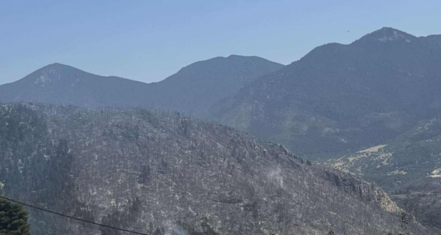 Στον εισαγγελέα οι δύο συλληφθέντες για την καταστροφική φωτιά στην ορεινή Κορινθία