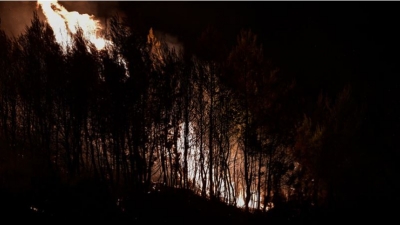 Φωτιά στην Εύβοια: Βελτιωμένη η εικόνα του πύρινου μετώπου, πολλές διάσπαρτες εστίες - Επιχειρούν  και τα εναέρια μέσα