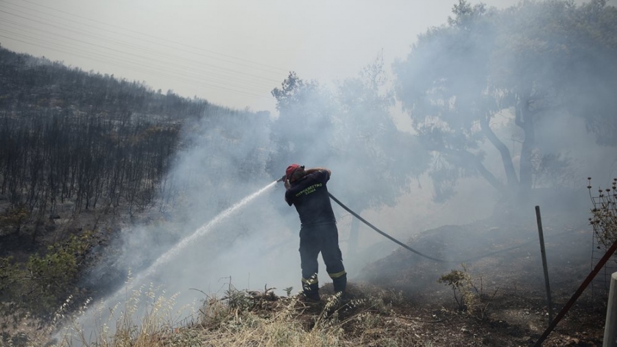 Αλεξανδρούπολη: 112 για εκκένωση τριών οικισμών – Μαίνεται η μεγάλη φωτιά