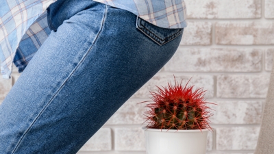 Μύθοι και αλήθειες για την αιμορροϊδική νόσο