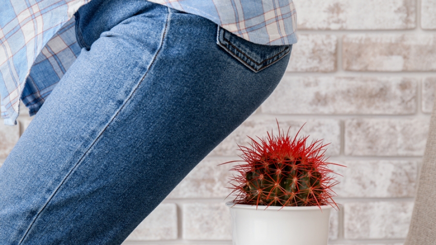 Μύθοι και αλήθειες για την αιμορροϊδική νόσο