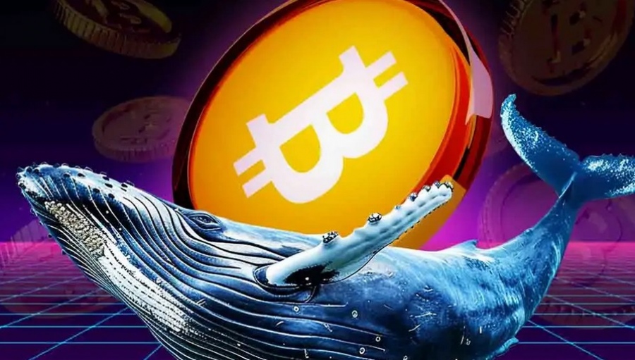Οι «φάλαινες» του Bitcoin «χτυπούν» στην πτώση - Αγορές 23 δισ. δολ. σε 30 ημέρες, έκρηξη στα 200.000 δολ. το 2027